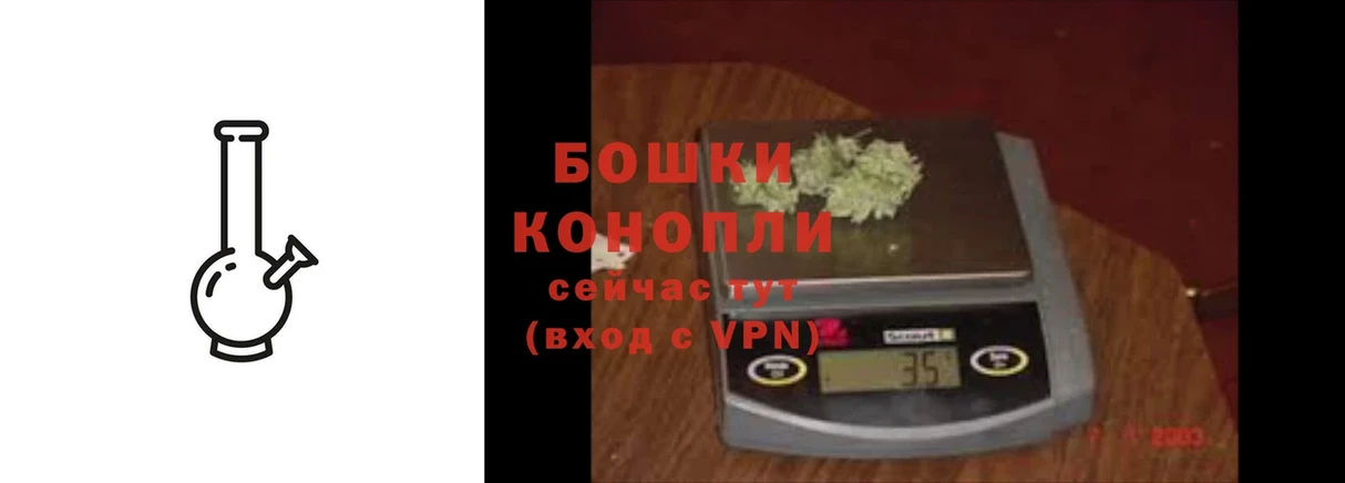 Канабис THC 21%  сколько стоит  Шуя 